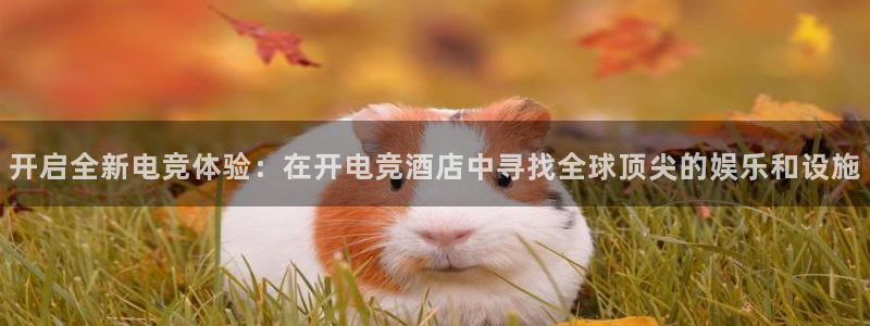 安博电竞网上官网是正品吗：开启全新电竞体验：在开电竞酒店中寻找全球顶尖的娱乐和设施