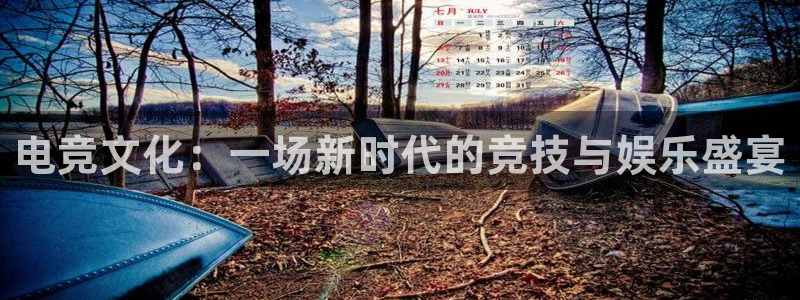 安博电竞：电竞文化：一场新时代的竞技与娱乐盛宴