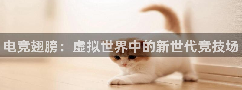 安博电竞地址是什么：电竞翅膀：虚拟世界中的新世代竞技场