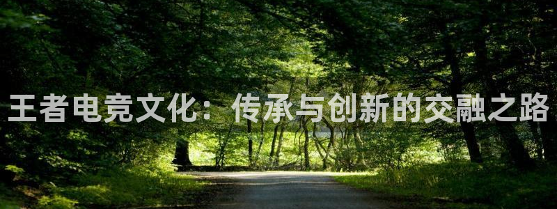 安博电竞怎么进去：王者电竞文化：传承与创新的交融之路