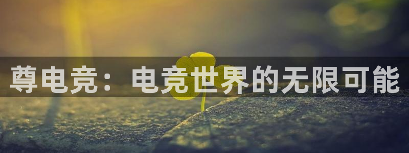 安博电竞怎么进去：尊电竞：电竞世界的无限可能