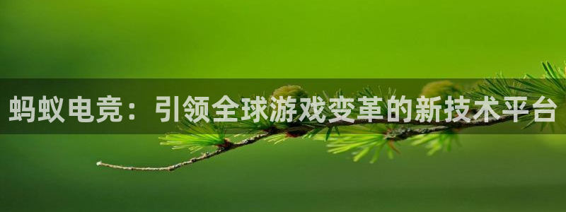 安博电竞app下不了：蚂蚁电竞：引领全球游戏变革的新技术平台