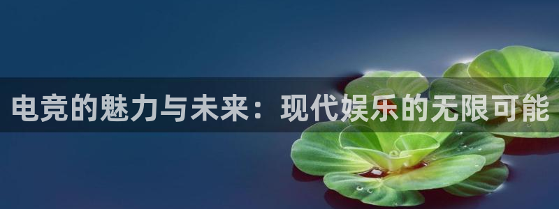 安博电竞平台平台官网：电竞的魅力与未来：现代娱乐的无限可能