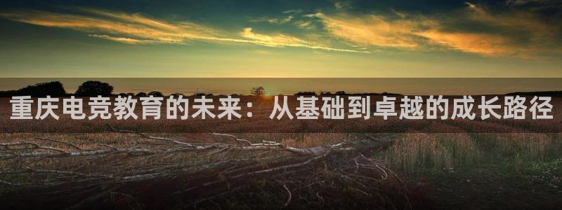 安博电竞下载：重庆电竞教育的未来：从基础到卓越的成长路径