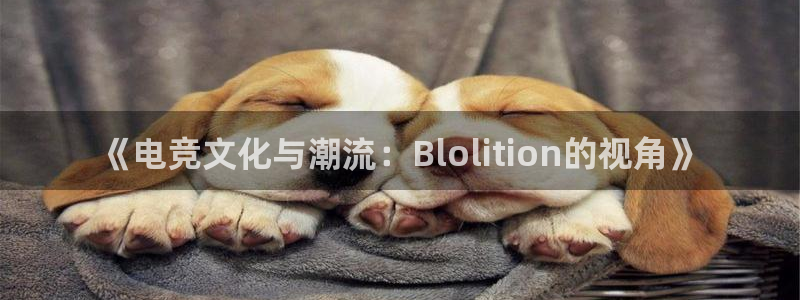 安博电竞平台平台官网：《电竞文化与潮流：Blolition的视角》