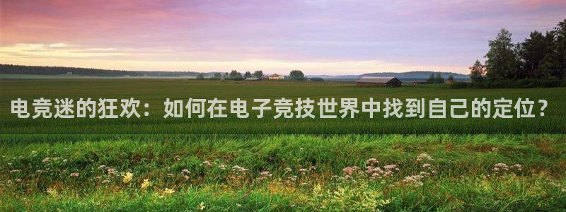 安博电竞app安卓下载：电竞迷的狂欢：如何在电子竞技世界中找到自己的定位？